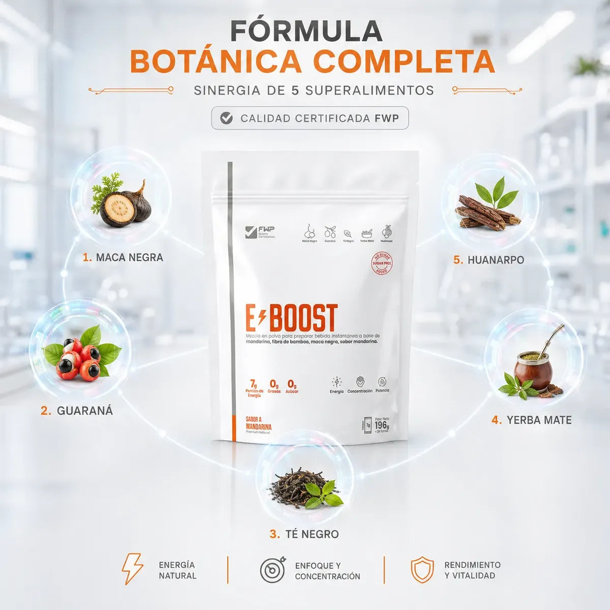 E-BOOST FWP – Potencia, Enfoque y Energía Inteligente