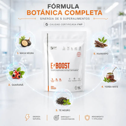 E-BOOST FWP – Potencia, Enfoque y Energía Inteligente